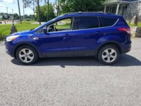 2013 Ford Escape SE